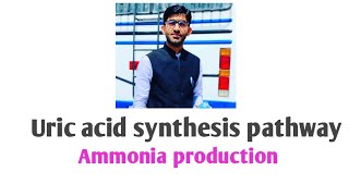 uric acid synthesis ammonia production biochemistry [upl. by Mag]