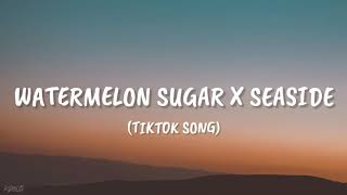 Harry Styles  Watermelon Sugar x Seaside  SEB Tiktok Song [upl. by Sanferd617]