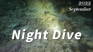 PADI Pulau Redang Night Dive [upl. by Colfin179]