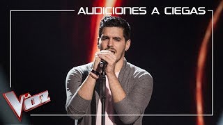 Fran Arenas canta Siendo uno mismo  Audiciones a ciegas  La Voz Antena 3 2019 [upl. by Noyr]