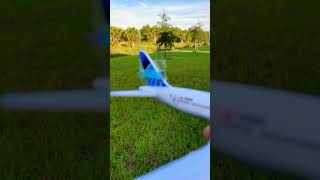 United 232 aviation crash trendingshorts fyp OosieFilms44 [upl. by Piscatelli]