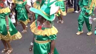 Comité Bibas Martinique Carnaval 2014 Lundi Gras au Lamentin Video [upl. by Aileduab]