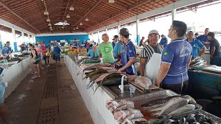 PEIXE🐟 UMA COMIDA TÍPICA DA AMAZÔNIA [upl. by Lucienne422]