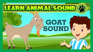 Animal Sound for Children  Goat Sound Camel Sound Pig Sound  Kids Hut [upl. by Dumm]