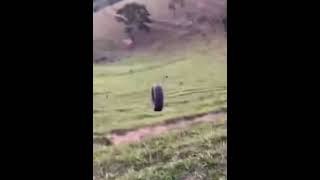 Tire rolling down hill shorts tires memes [upl. by Esidarap]