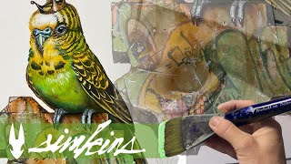 Greg quotCraolaquot Simkins painting a Budgerigar in quotKing Budgiequot [upl. by Anoblav976]