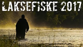 LAKSEFISKE 2017  Fort å gæli [upl. by Ades]