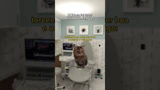 POV vc foi fazer exame de sangue exames hospital laboratorio povdosgatos memes [upl. by Courcy]