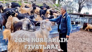 2024 Kurbanlık Fiyatları Ve İnce Ayrıntıları [upl. by Kablesh]