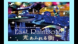 駅前通りのイルミネーションライトアップ（East Rainbow in 東近江市） [upl. by Allecsirp293]