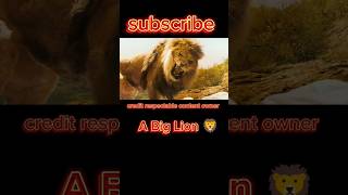 A big lion on mountain explainedinhind shortsfeed shorts movies [upl. by Merry]