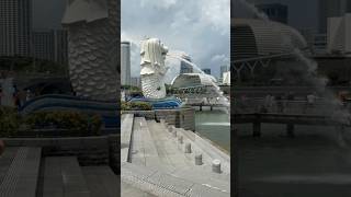 🇸🇬Merlion park singapore merlionsingapore [upl. by Hsemar]