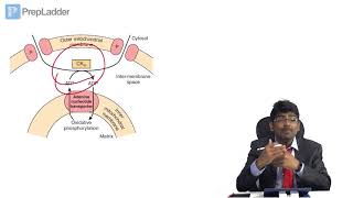 Biological Oxidation and Electron Transport Chain  MCQ discussion [upl. by Conney753]