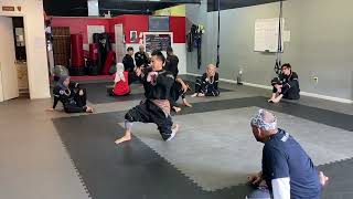 Silat Martial Arts Academy  Satria Fighting Arts Flow [upl. by Cart833]