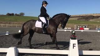 British Dressage Novice 27 [upl. by Nevets]