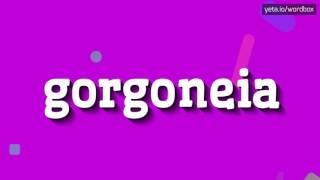 GORGONEIA  HOW TO PRONOUNCE IT [upl. by Enyawed254]