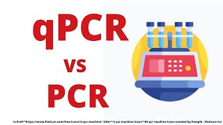 qPCR DATA ANALYSIS  REAL TIME PCR [upl. by Debora]