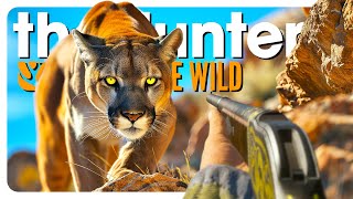 I hunted EVERY CAT in the game  theHunter Call of the Wild [upl. by Niaz]