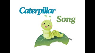 Caterpillars  Fun Facts Kids Cartoon Song  Kindergarten Nursery Rhymes  Toddlers Learning Video [upl. by Aseret]