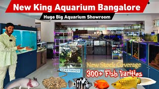 Biggest Aquarium Showroom in India  New King aquarium bangalore Huge fish Varities Stock update [upl. by Jinny761]