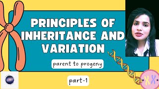 Principles Of Inheritance And Variation [upl. by Abdul]