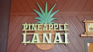 Pineapple Lanai Opens Serving Dole Whips at Disneys Polynesian Village Resort Walt Disney World [upl. by Ovida]