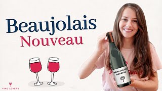 C’est quoi le Beaujolais nouveau  L’histoire du plus célèbre des vins primeurs [upl. by Tiler437]