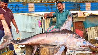 KASIMEDU 🔥 MR KUMAR  74 KG GIANT KOLA FISH CUTTING VIDEO  IN KASIMEDU  FF CUTTING 🔪 [upl. by Lilybelle]