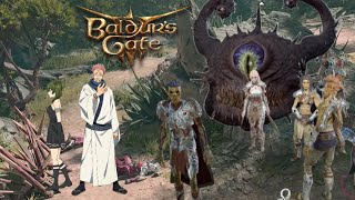 Domain Expansion  Baldurs Gate 3 [upl. by Yzus]