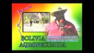 Presentacion Bolivia Agropecuaria [upl. by Lemmor]