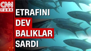 Tüpsüz 15 metreye dalan Türk dalgıç Ozan Önenin etrafını dev balıklar sardı [upl. by Norri511]