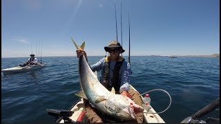 CEDROS KAYAK FISHING with FASTLANE SAILING and KAYAKING [upl. by Rramo795]