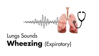 Wheezing expiratory  Lung Sounds  MEDZCOOL [upl. by Nnylrahc]