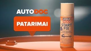 Kaip greitai užvesti automobilį esant šalčiams  AUTODOC [upl. by Buff]