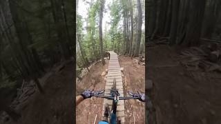 MY FAVOURITE BIKE PARK IN THE WORLD  revelstoke [upl. by Anikal]