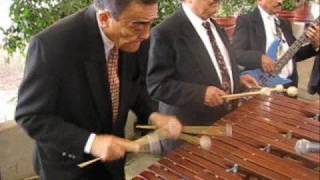 Marimba en Mexico City septiembre 08 [upl. by Oys]