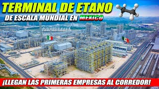 ¡Llegan las primeras empresas al corredor 🇲🇽 Construirán Terminal de Etano de Escala Mundial 😲 [upl. by Leila66]