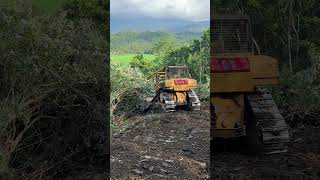 Strategy for Clearing Oil Palm Fields in the Mountains with the D6R XL Bulldozer [upl. by Eisnil]