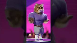 He is dancing dancingcat catlover cat cutecathere kitten cute 0109 catvideos catdancer [upl. by Meadow]