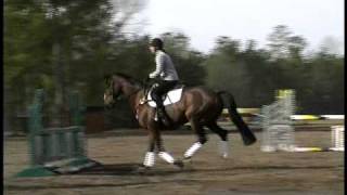 Phillip Dutton Pro Tips  Horse Jumping Tips  Horse Jumps [upl. by Jonati]