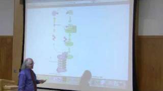 Protein Synthesis Translation by Kevin Ahern Part 6 of 7 [upl. by Xylon]