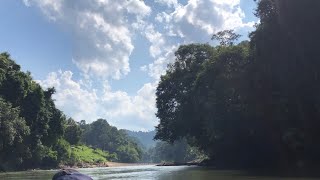 The hidden gems of Sarawak Katibas Song [upl. by Hahnert]