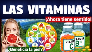 TODO SOBRE LAS VITAMINAS  TIPOS Y FUNCIONES  CARACTERISTICAS [upl. by Relyhs370]