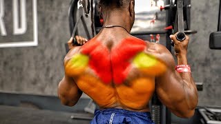 10 CABLE EXERCISES FOR A COBRA BACK [upl. by Frohne]