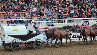 Not Scrap but Ponoka Stampede  Chuckwagon Races [upl. by Meagher641]