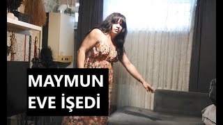 KOLTUK YIKAMA KOLTUK TEMİZLEME [upl. by Arinayed195]