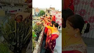 Pavitra rishta ✨💞❣️❤️🧿karwachauth viralvideo [upl. by Aiyn]