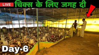 Day6  Chicks space management in poultry farming [upl. by Britni]