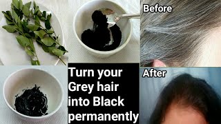 2 Ingredients Homemade Hair Dye to turn Grey hair into Black  No Henna Indigo Amla amp Kalonji [upl. by Boehmer]