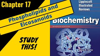 Lippincotts Biochemistry Review Chapter 17 Phospholipids and Eicosanoids  Study This [upl. by Seessel]